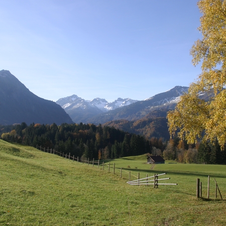 24 Im Herbst 2009 im Allgäu